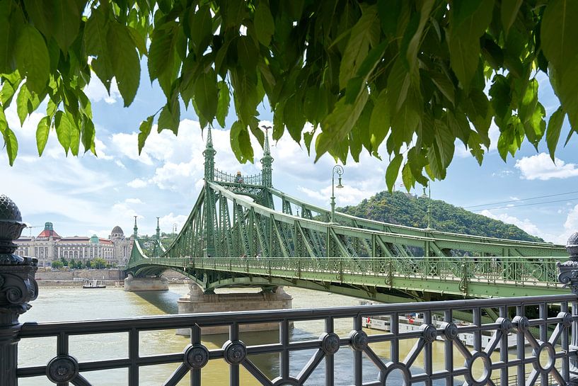 Le pont historique de la Liberté, Szabadsag hid, à Budapest par Heiko Kueverling