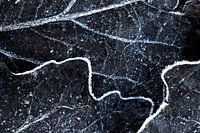 Muster der Adern in einem Blatt