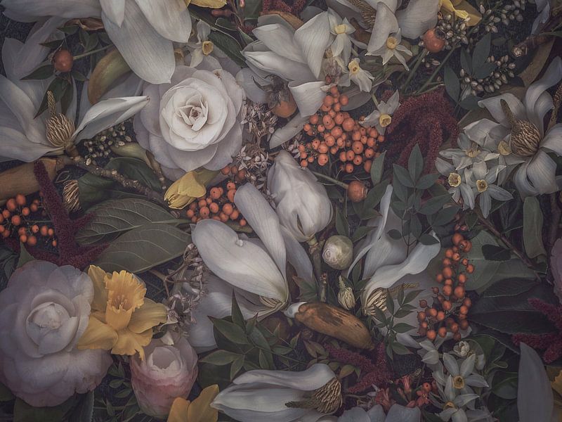 Magnolien&amp;Kamelien von Marina de Wit