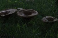 Die UFOs sind gelandet