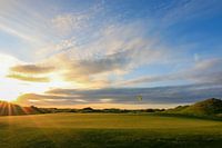 Texel Golf Course green closeup