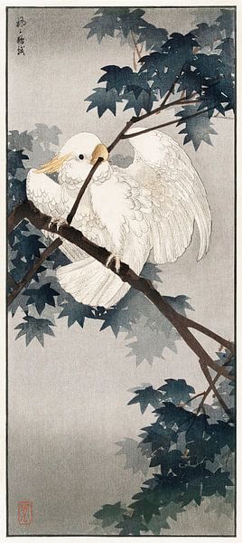 Cacatoès à crête jaune dans un arbre (1900 - 1940) par Ohara Koson par Studio POPPY