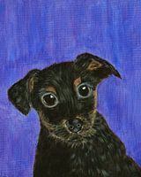 Schwerer Hundewelpe Jack Russell