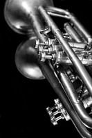 Old Vintage Jazz Brass Trumpet Music Lover Black White Reflection