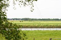 Blick über das Wasser