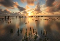 Sonnenuntergang im Wattenmeer bei Koehool