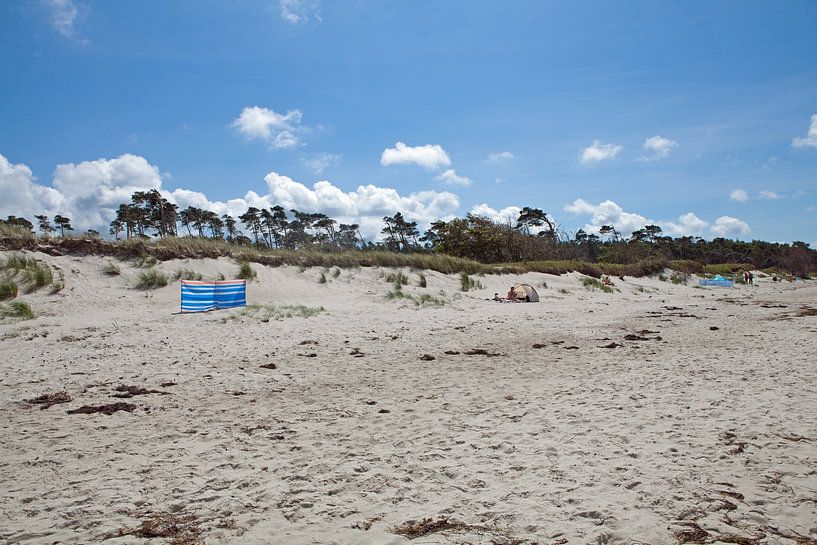 Darß - Weststrand von t.ART