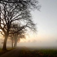 Nebelartige Landschaft