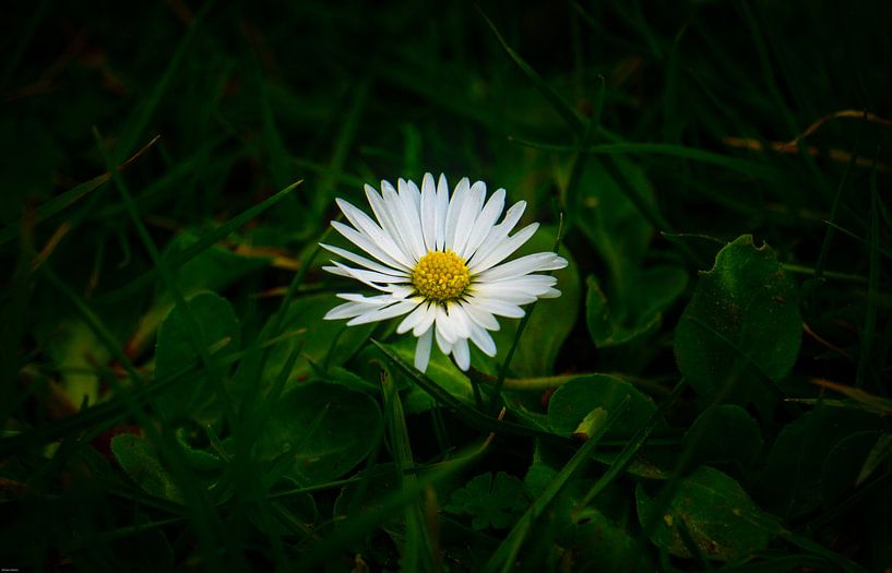 Light in the dark by Working Waves