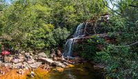 Der Wasserfall Cachoeirinha und sein natürliches Becken in der Chapada Diamantina