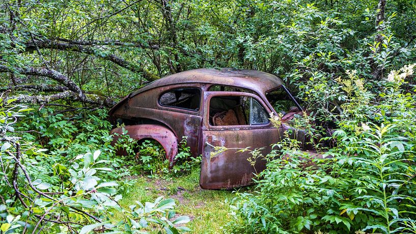 A discarded Volvo PV 444 'Katterug' in the forest near Bastnas, Sweden by Evert Jan Luchies