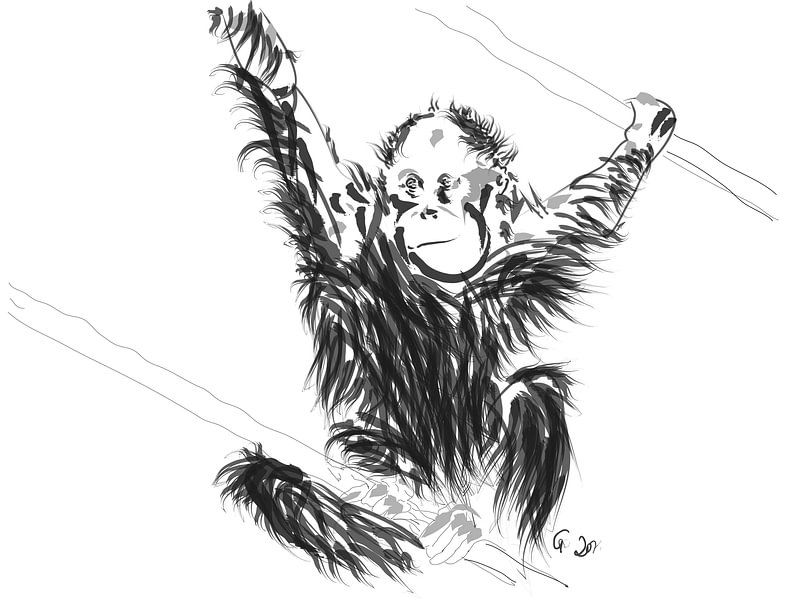 Orangutan baby 1 by Go van Kampen