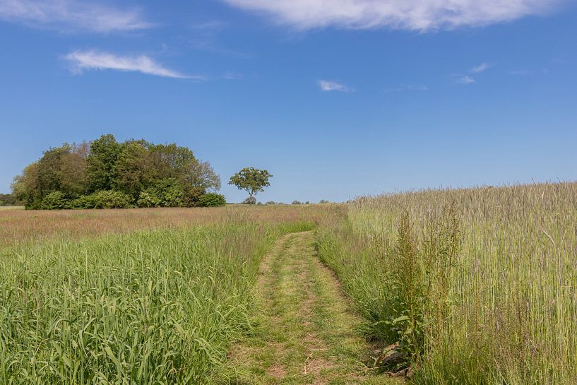 Groningen and Drenthe Veenkoloniën by Johan Mooibroek