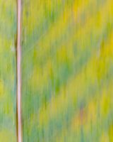 Bunte dynamische abstrakte