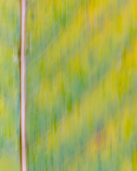 Bunte dynamische abstrakte von Maarten Trybou