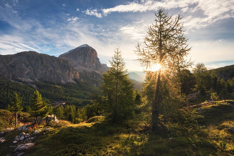 Ein Sommermorgen am Passo Falzarego in den Dolomiten von Daniel Gastager