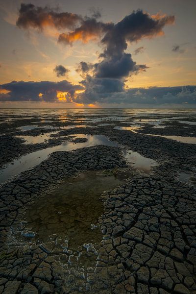 Wad Dragon by Jan Koppelaar Fotografie