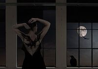 Der Mond fragte die Krähe