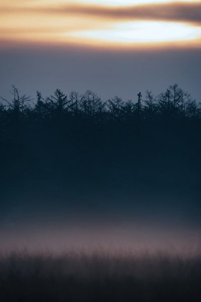 Mysteriöser Wald von JMV nature photography