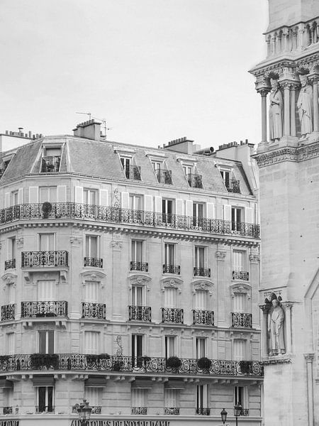 Paris Notre Dame Cafe Black and White by Grace Digital Art Co