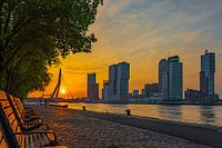 Rotterdamer Sonnenaufgang