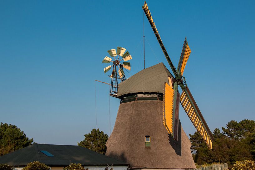 Amrumer Mühle von Alexander Wolff