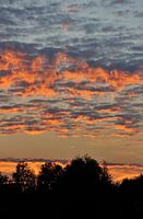 Bewölkter Sonnenuntergang über den Bäumen