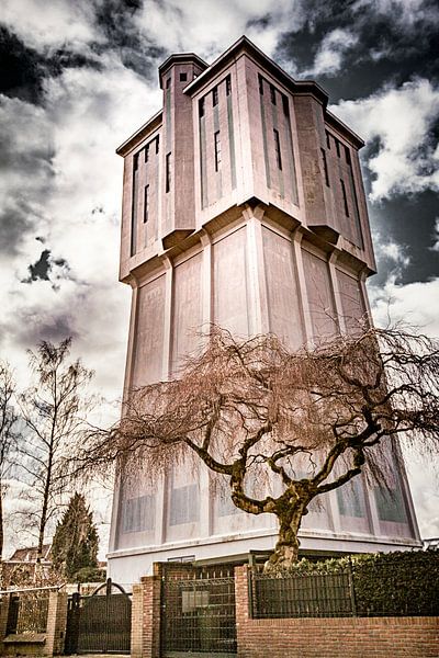 Der Riese und ein Bonsai. von Freddy Hoevers