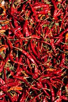 Rote Paprika