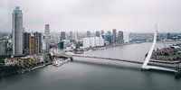 Minimalistisches Foto der Skyline von Rotterdam