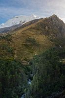 Snow-capped Andes peak above verdant forest