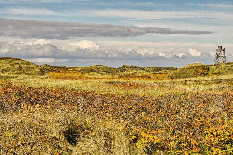 Blåvand dunes paysage au Danemark sur la mer du Nord par Martin Köbsch