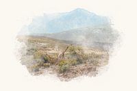 "Giraffen zwischen den Bergen" - Fotografie & Kunst