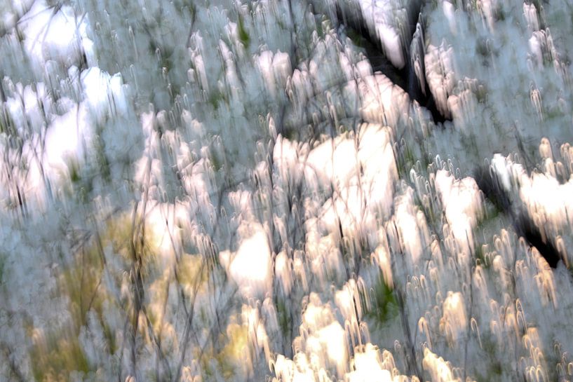 spring depression by YVON Bilderbeek