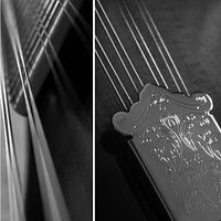 Mandoline Combi 01 Black&White | Picture