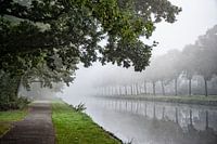 The vliet shrouded in fog