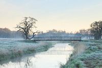 Pont en bois sur la Drentsche Aa