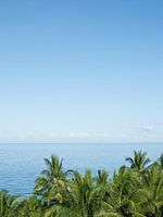 Palmen und ein Blick aufs Meer