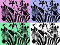 Zebra im PopArt-Stil