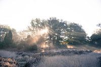 Lever de soleil Buursezand Twente
