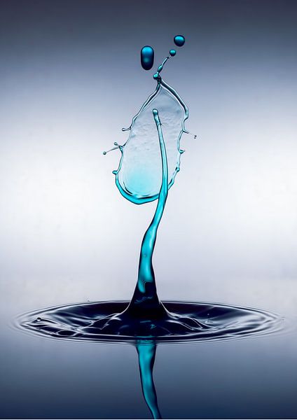 Splash One. van Remco van Belle