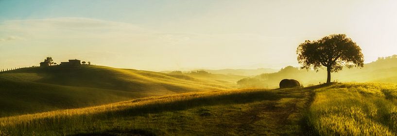 Tuscan Light II par Lars van de Goor