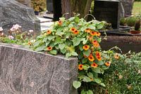 Ein Erinnerung im Farben.