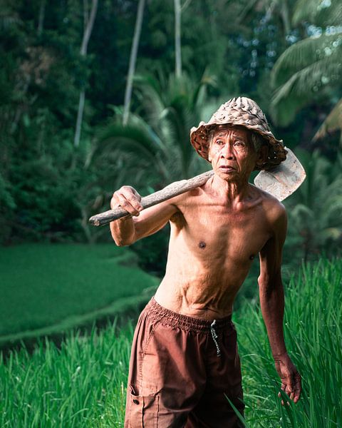 Agriculteur sur les rizières en terrasses de Tegalalang à Ubud, Bali. par Roman Robroek - Photos de bâtiments abandonnés