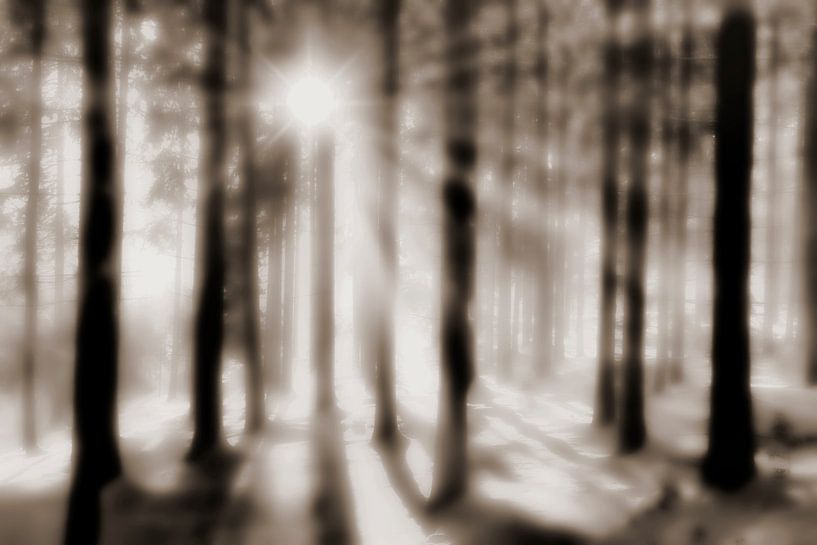 Jeu d'ombres par Jürgen Wiesler