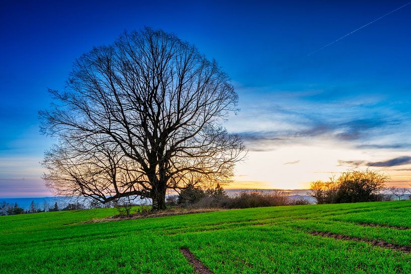 Sunset in the Harz Mountains near Sangerhausen by Andreas Völkel