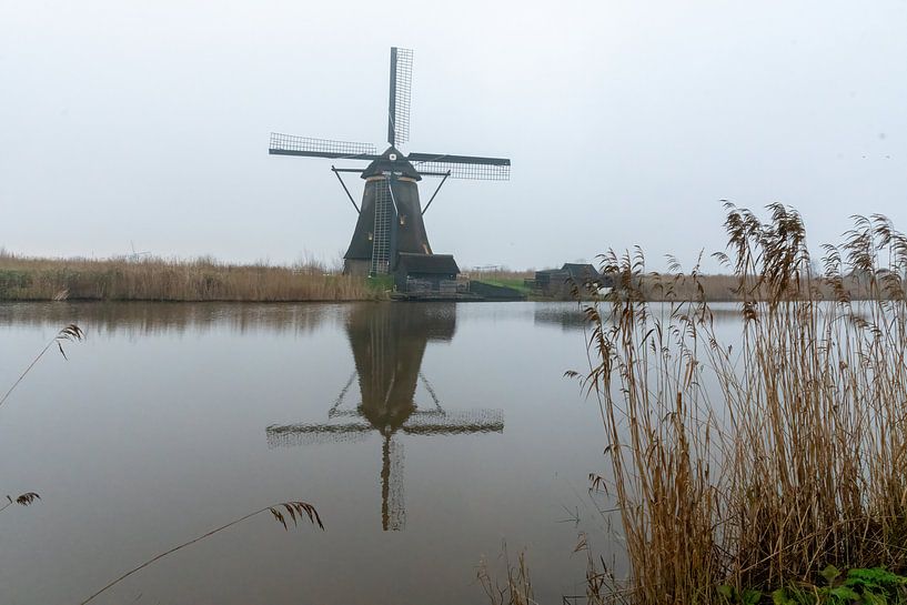 Kinderdijk Windmühle im Nebel von Merijn Loch