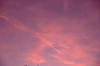 Le ciel rose que tout le monde aime.