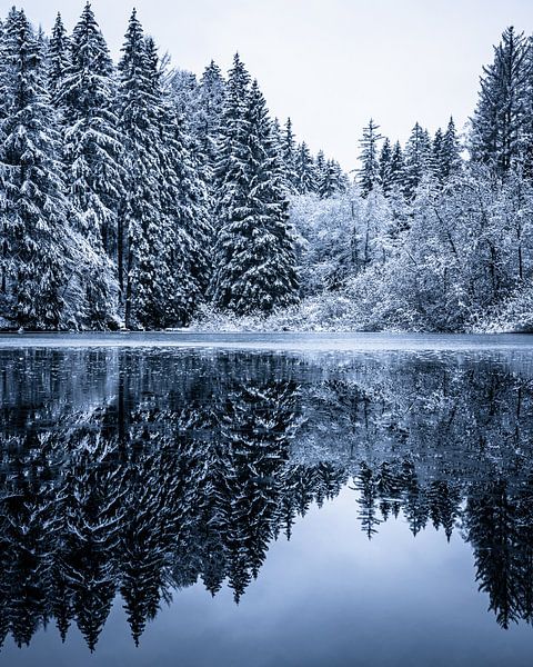 Icy reflections by Joris Machholz