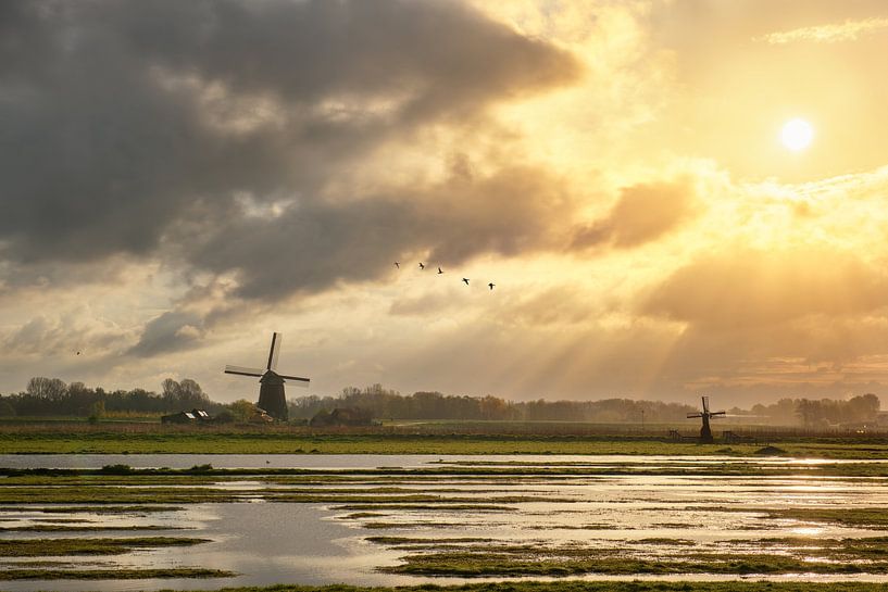 De Neckermolen by Pieter Struiksma